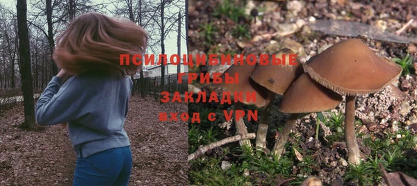 винт Алексеевка