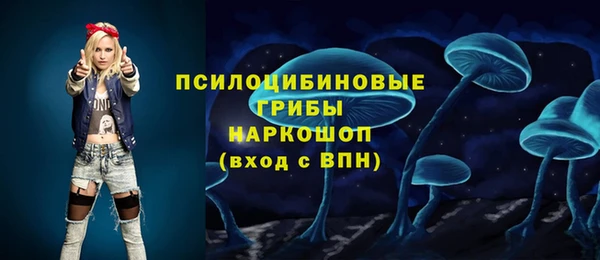 соль ск Алзамай