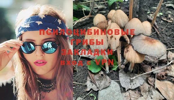 винт Алексеевка