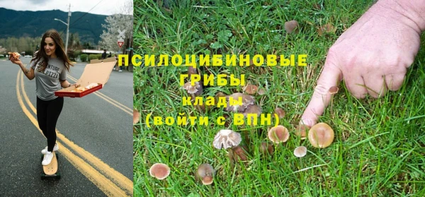 прущая мука Алексин