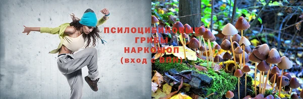 соль ск Алзамай