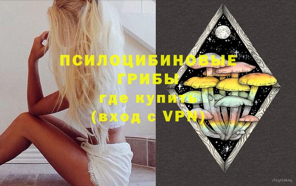 винт Алексеевка