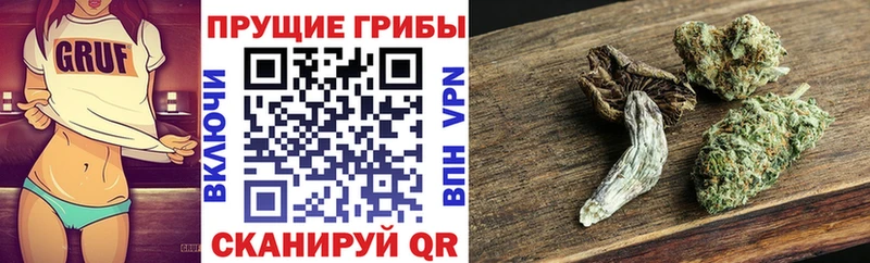Галлюциногенные грибы GOLDEN TEACHER  продажа наркотиков  Рыбное 